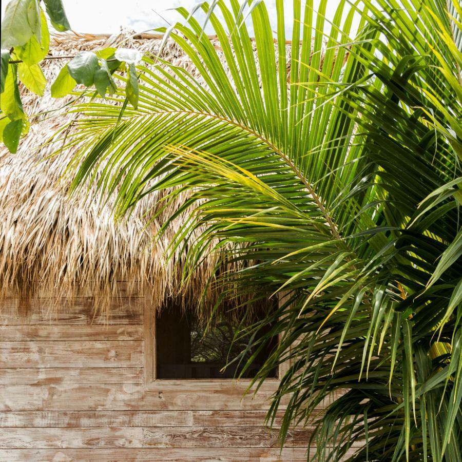 Suyo Cabanas Popoyo | Hotel Suyo El Limon Luaran gambar